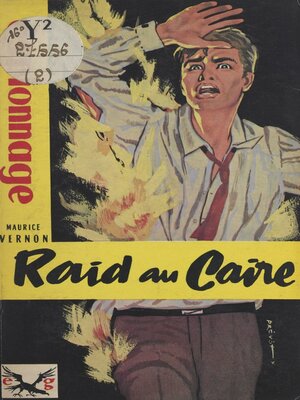 cover image of Raid au Caire